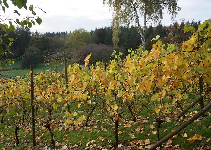 Les Cresses Oda ve Kahvaltı Ciney